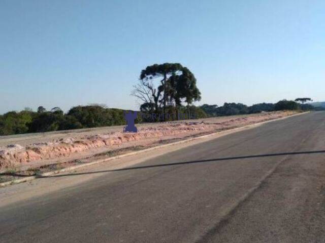 #TER-0008 - Terreno para Venda em Campo Largo - PR - 2