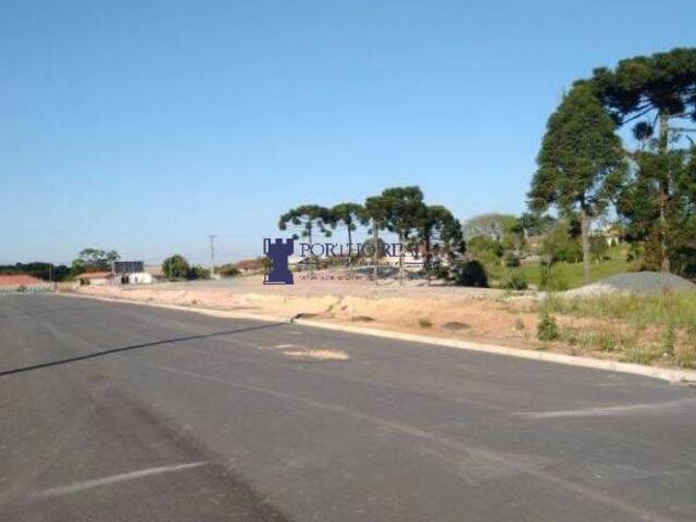 #TER-0008 - Terreno para Venda em Campo Largo - PR - 3