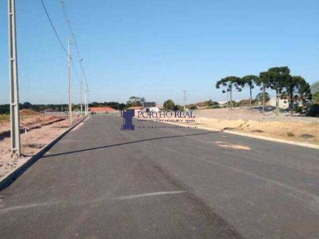 Terreno para Venda em Campo Largo - 4