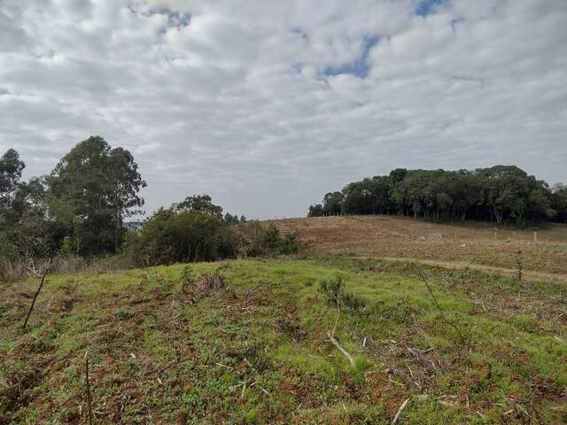#CH-0009 - Área Rural para Venda em Balsa Nova - PR - 2