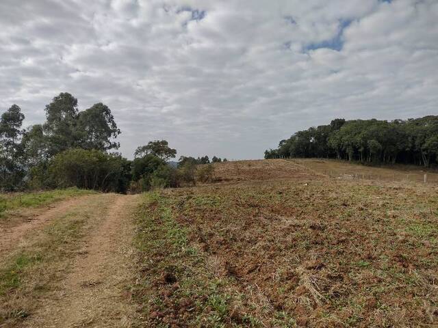 Área Rural para Venda em Balsa Nova - 5