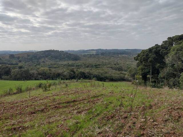 #CH-0009 - Área Rural para Venda em Balsa Nova - PR - 1