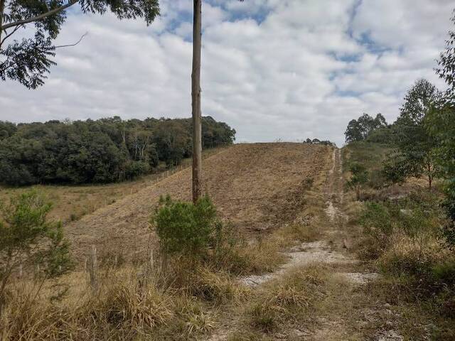 #CH-0009 - Área Rural para Venda em Balsa Nova - PR - 3