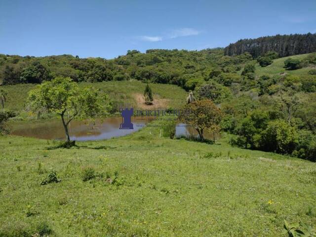 Chácara para Venda em Lapa - 4