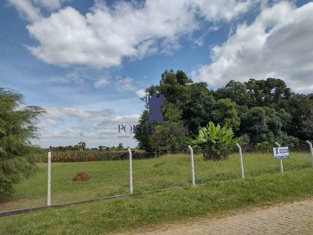 #90 - Área para Venda em Campo Largo - PR
