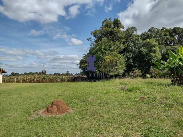 Terreno para Venda em Campo Largo - 5