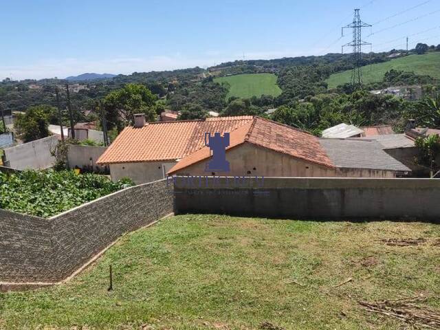 Terreno para Venda em Campo Largo - 3