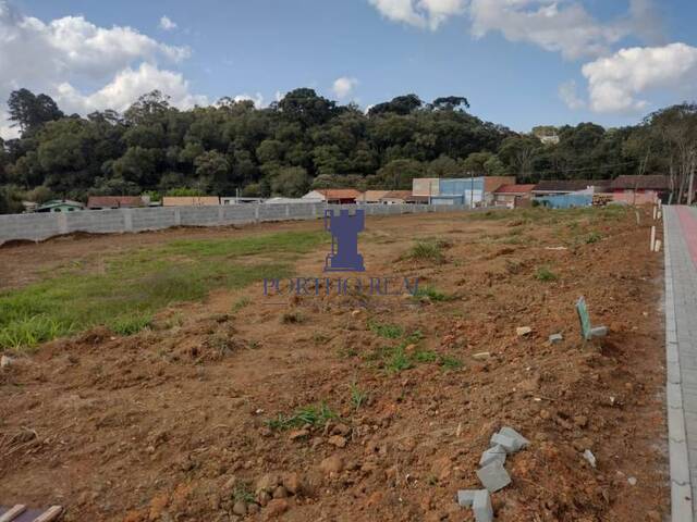 #TER-0004 - Loteamento para Venda em Campo Largo - PR - 2