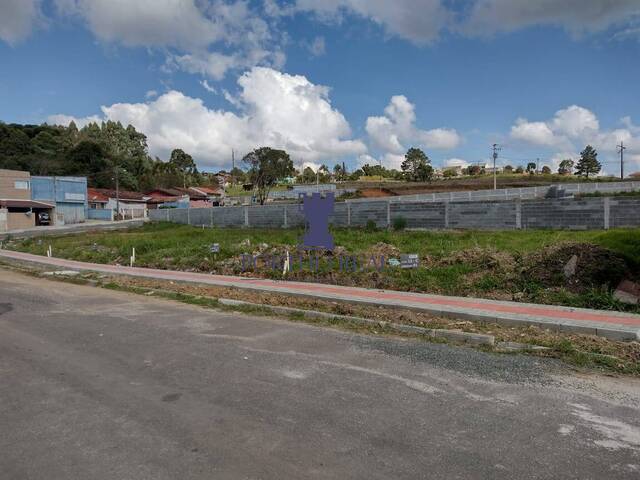 #TER-0004 - Loteamento para Venda em Campo Largo - PR - 3