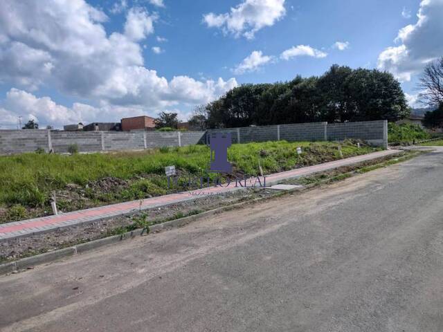 Loteamento para Venda em Campo Largo - 4