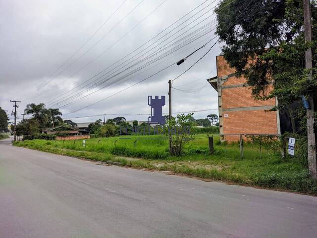 Galpão para Locação em Campo Largo - 3