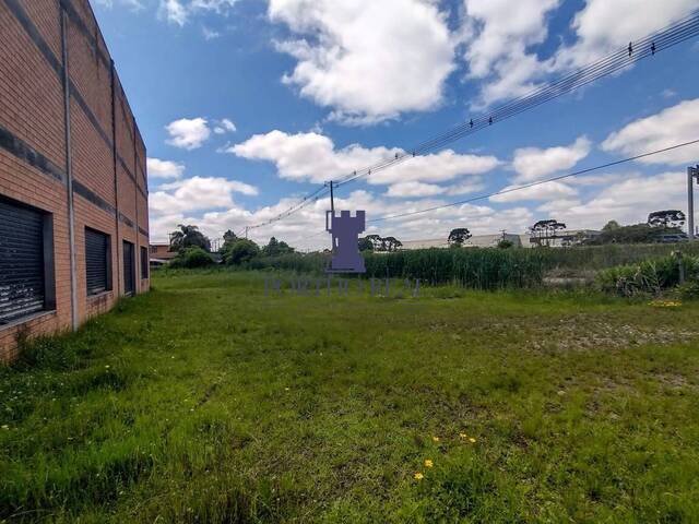 Galpão para Locação em Campo Largo - 4