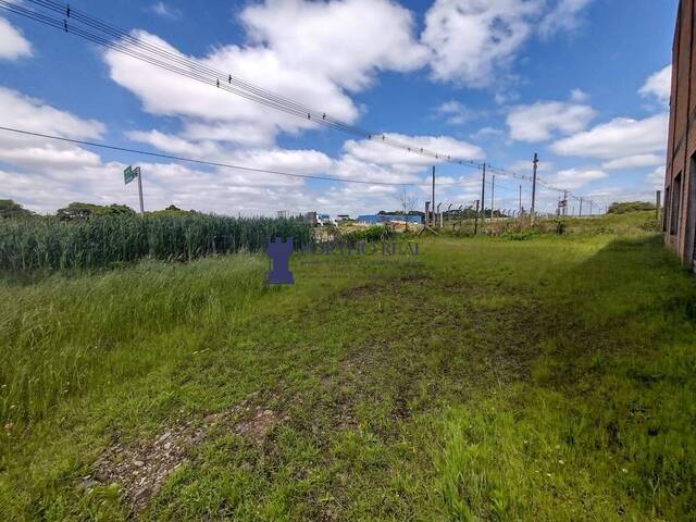 Galpão para Locação em Campo Largo - 5