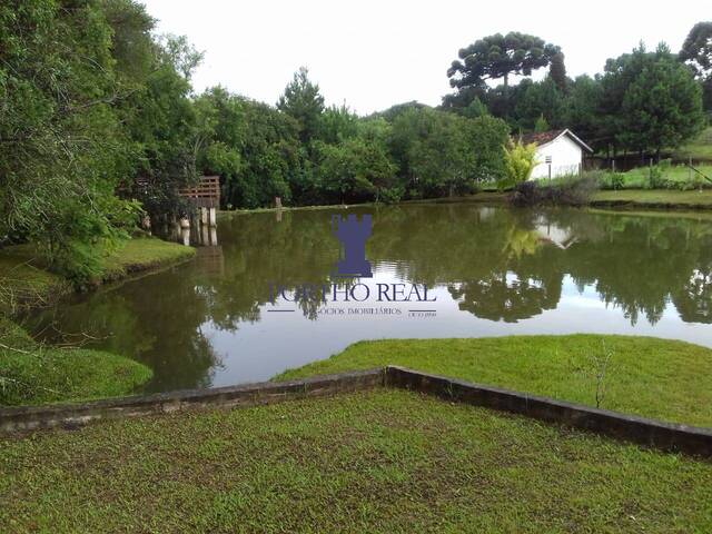 #CH-0004 - Chácara para Venda em Campo Largo - PR - 3