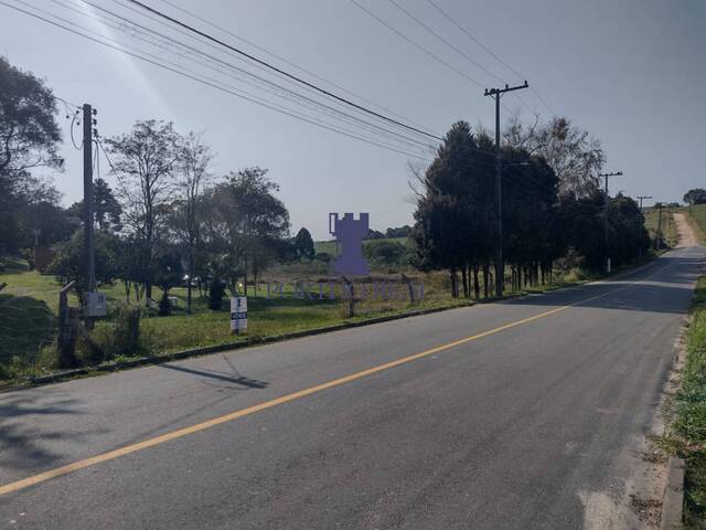 Terreno para Venda em Balsa Nova - 4