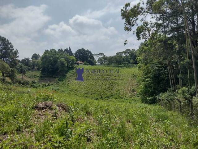 Venda em Vila Delurdes - Campo Largo