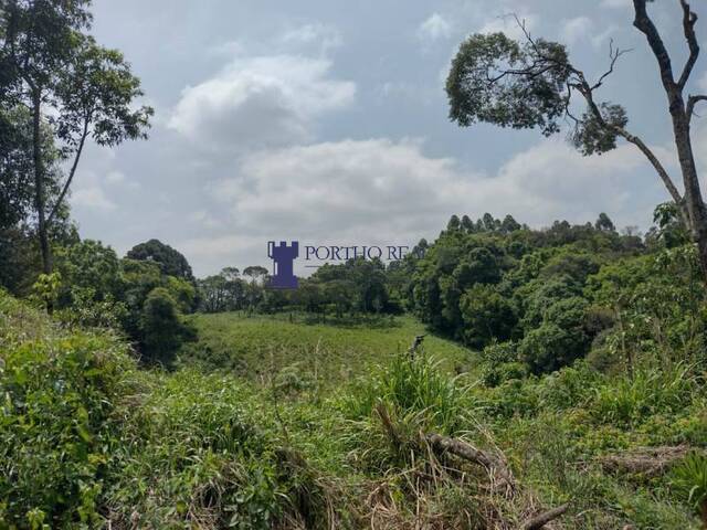 #TER-0014 - Terreno para Venda em Campo Largo - PR - 2