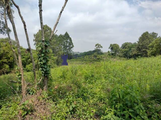 #TER-0014 - Terreno para Venda em Campo Largo - PR - 3