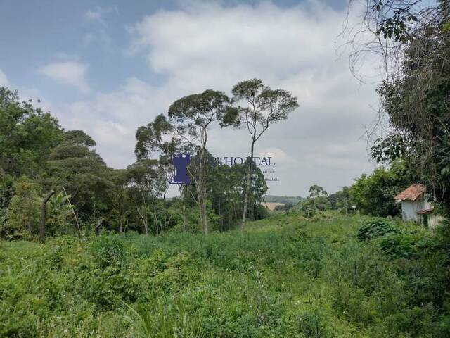 Terreno para Venda em Campo Largo - 4