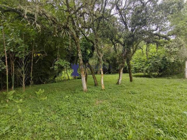 Chácara para Venda em Balsa Nova - 4