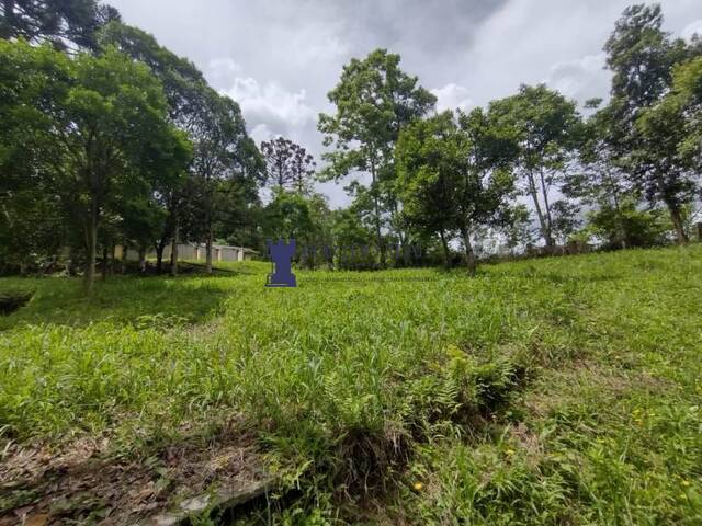 Chácara para Venda em Balsa Nova - 5