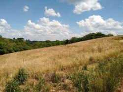 #TER-011 - Terreno para Venda em Campo Largo - PR - 2