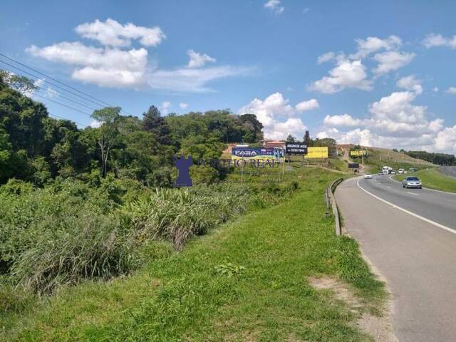 #TER-011 - Área para Venda em Campo Largo - PR - 3