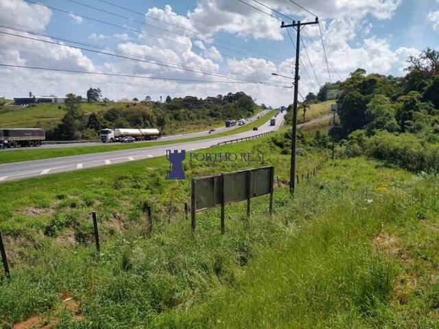 #TER-011 - Área para Venda em Campo Largo - PR - 1