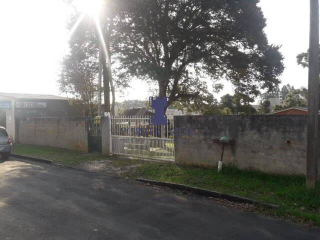 Terreno para Venda em Campo Largo - 5