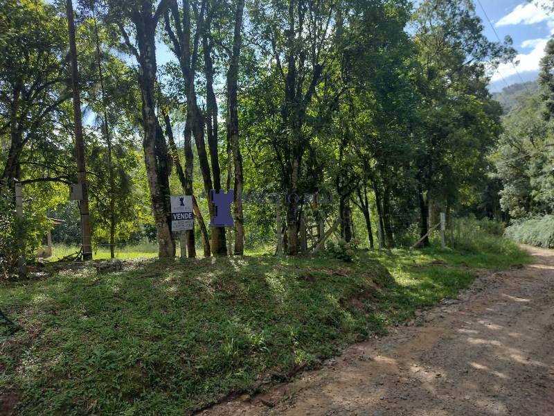 Chácara, 2 quartos, 3375 m² - Foto 6