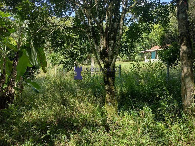 Chácara, 2 quartos, 3375 m² - Foto 11