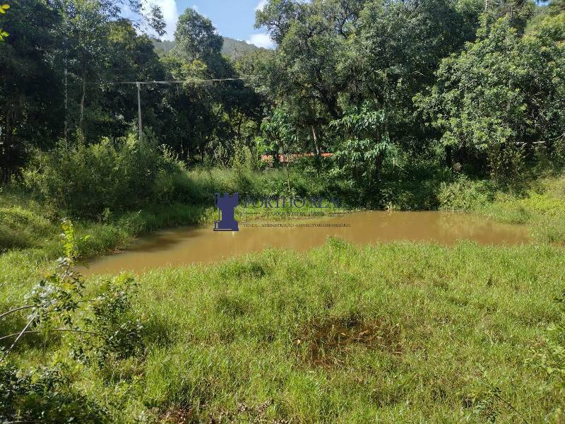 Chácara, 2 quartos, 3375 m² - Foto 12