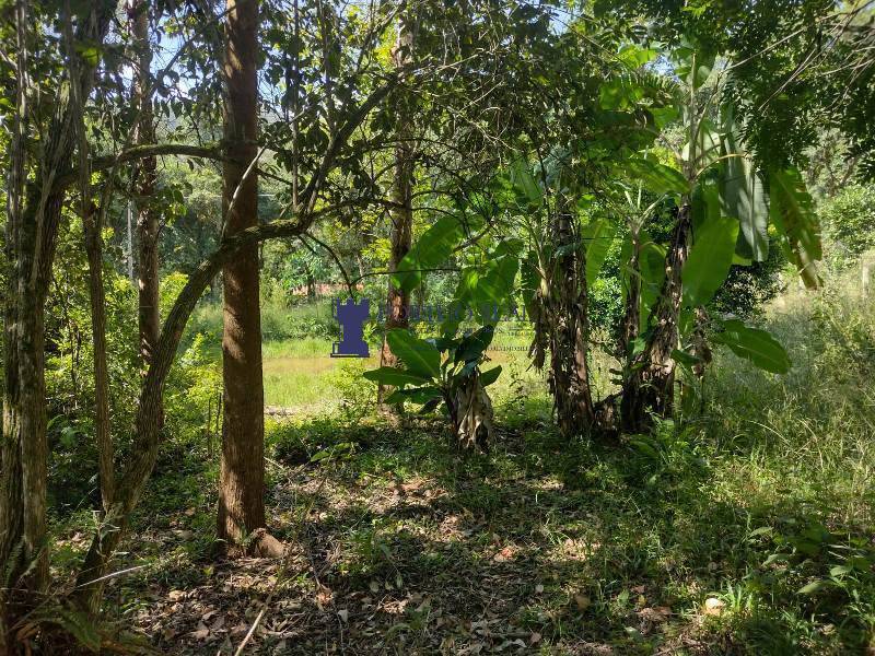 Chácara, 2 quartos, 3375 m² - Foto 14