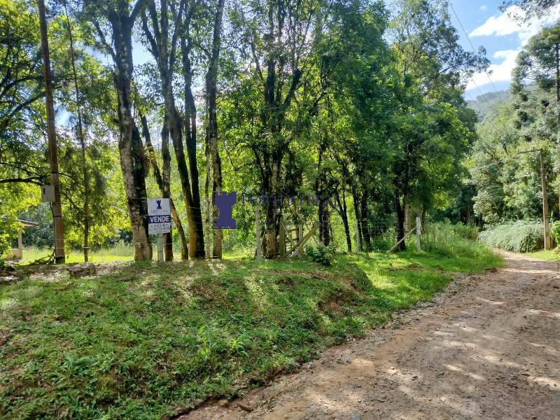 Chácara, 2 quartos, 3375 m² - Foto 13