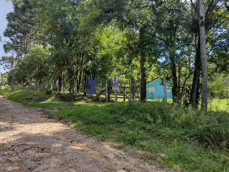 Chácara, 2 quartos, 3375 m² - Foto 19