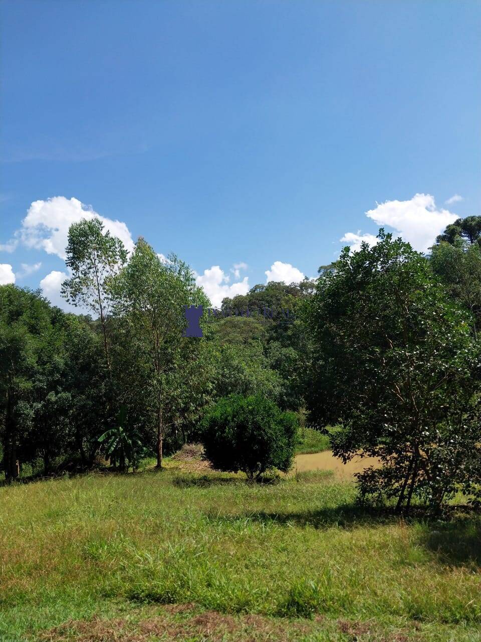 Chácara, 2 quartos, 3375 m² - Foto 18