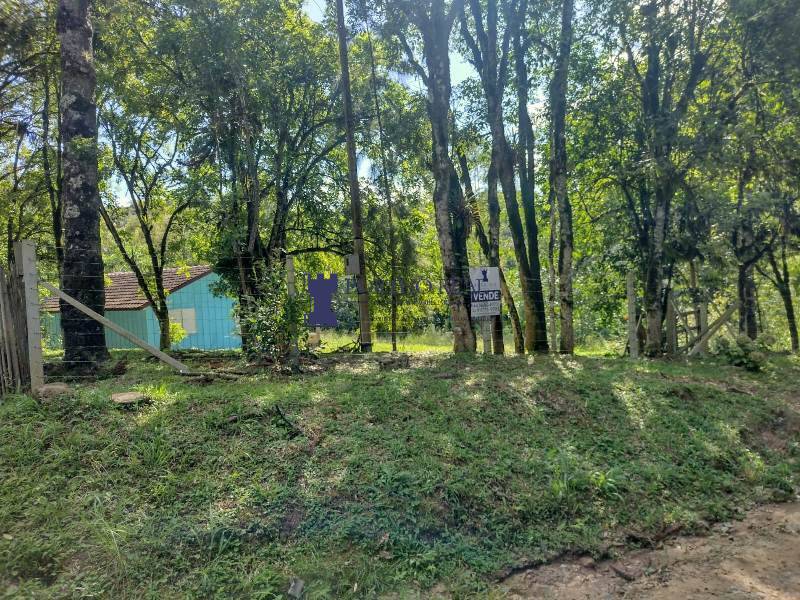 Chácara, 2 quartos, 3375 m² - Foto 20