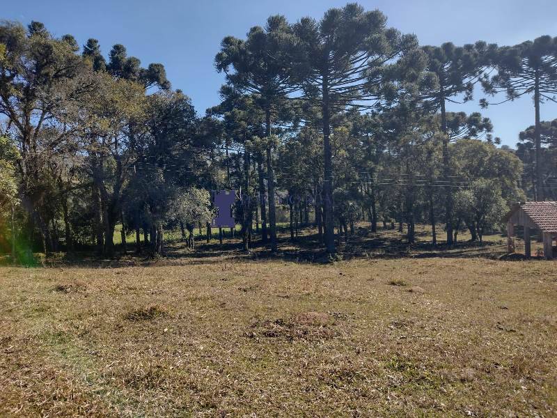 Sítio, 2 quartos, 14 hectares - Foto 13