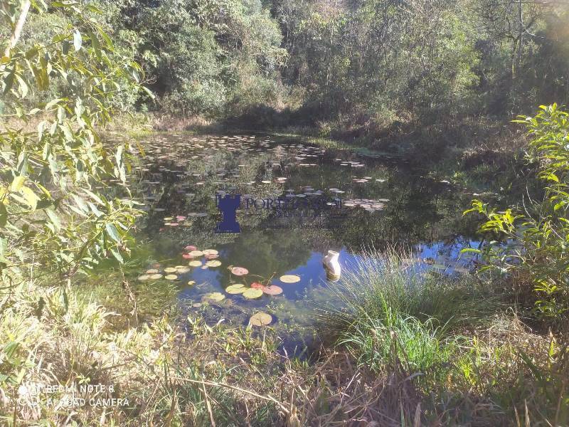 Sítio, 2 quartos, 14 hectares - Foto 18