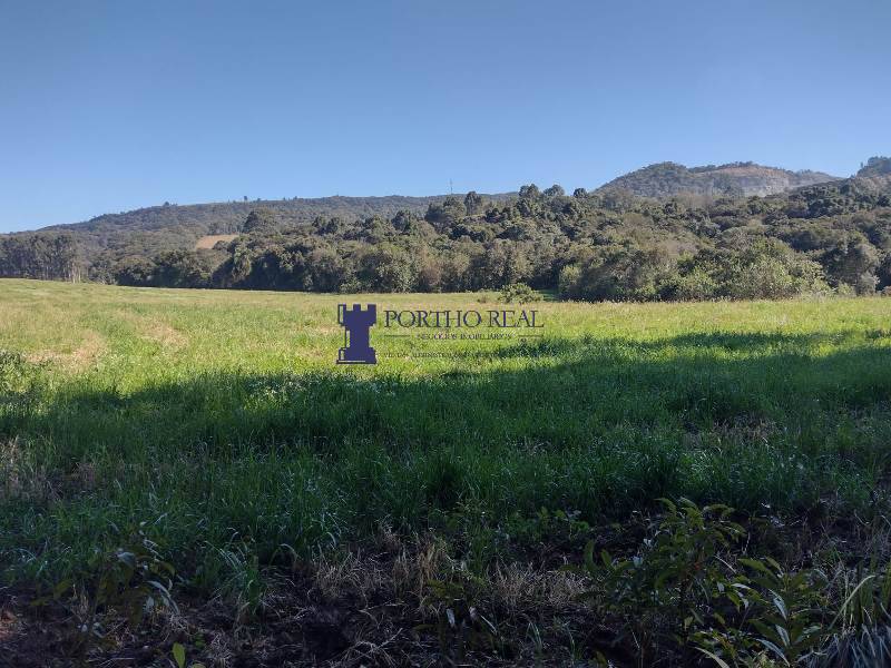 Sítio, 2 quartos, 14 hectares - Foto 4