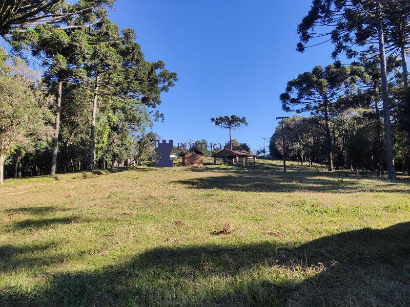 Sítio, 2 quartos, 14 hectares - Foto 3