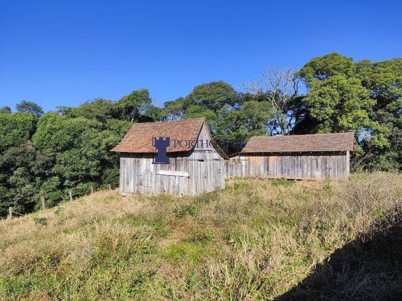 Sítio, 2 quartos, 14 hectares - Foto 11