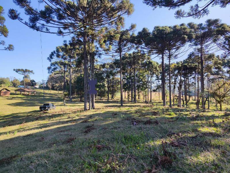 Sítio, 2 quartos, 14 hectares - Foto 16