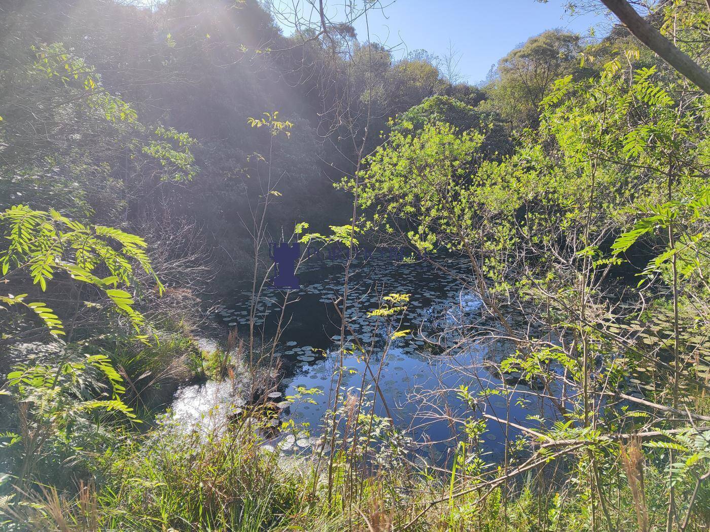 Sítio, 2 quartos, 14 hectares - Foto 17