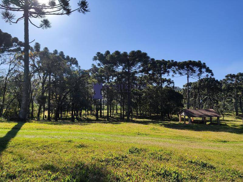 Sítio, 2 quartos, 14 hectares - Foto 2