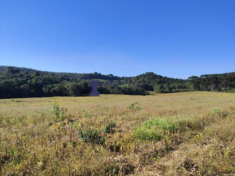 Sítio, 2 quartos, 14 hectares - Foto 5