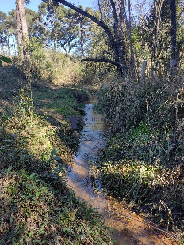 Sítio, 2 quartos, 14 hectares - Foto 22