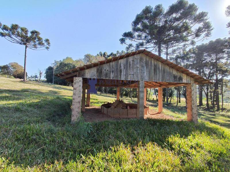 Sítio, 2 quartos, 14 hectares - Foto 19