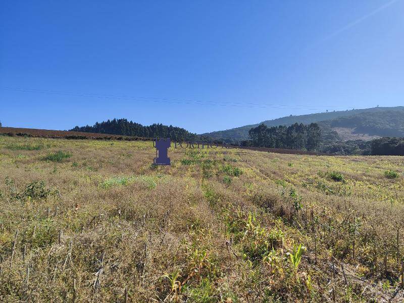 Sítio, 2 quartos, 14 hectares - Foto 6