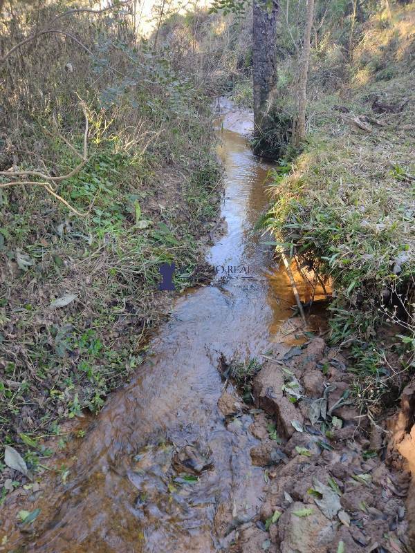 Sítio, 2 quartos, 14 hectares - Foto 21